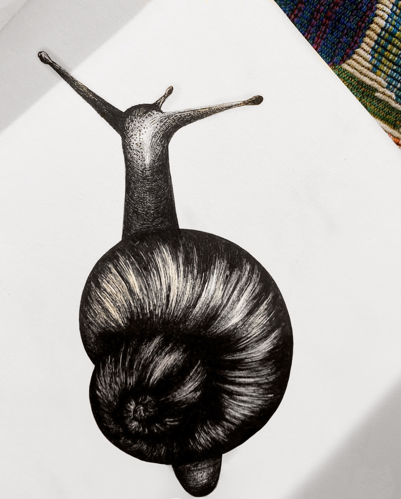 Snail No. 1